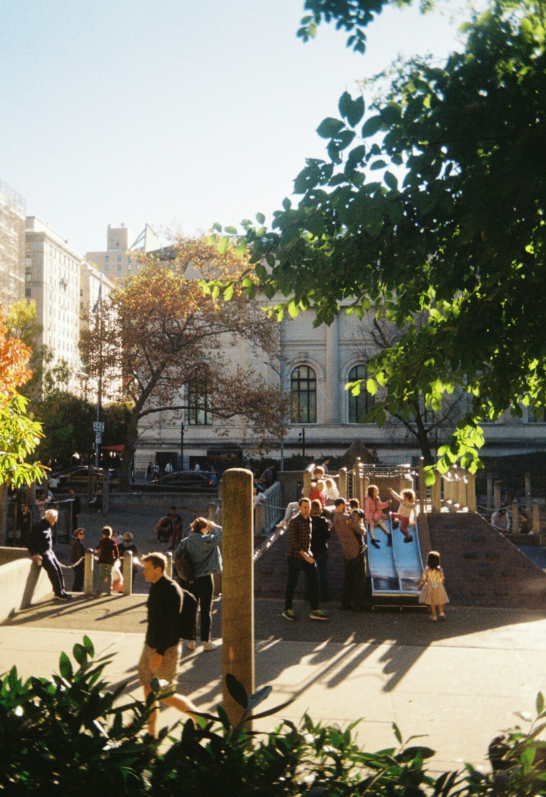 Group of cheerful diverse older adults laughing together in a sunny park