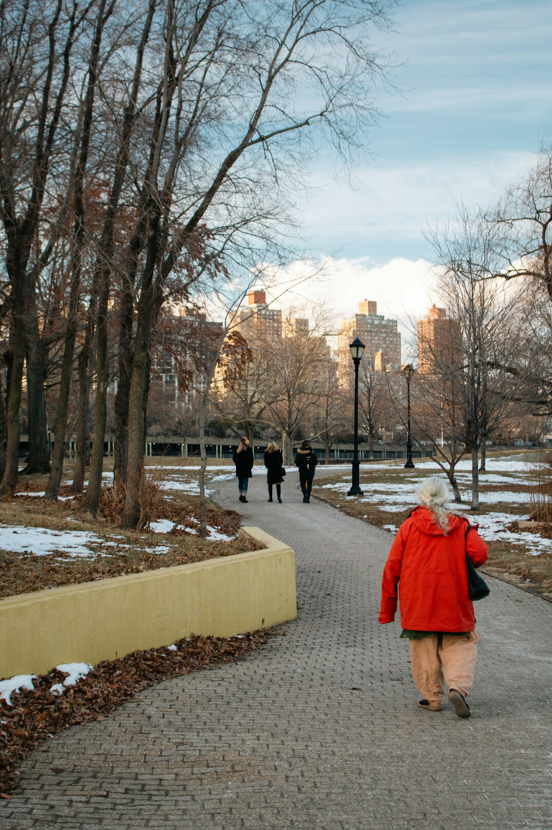 elderly group walking in park