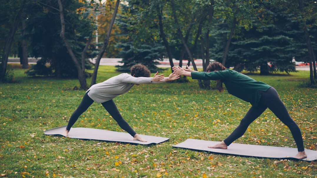 seniors doing yoga in park