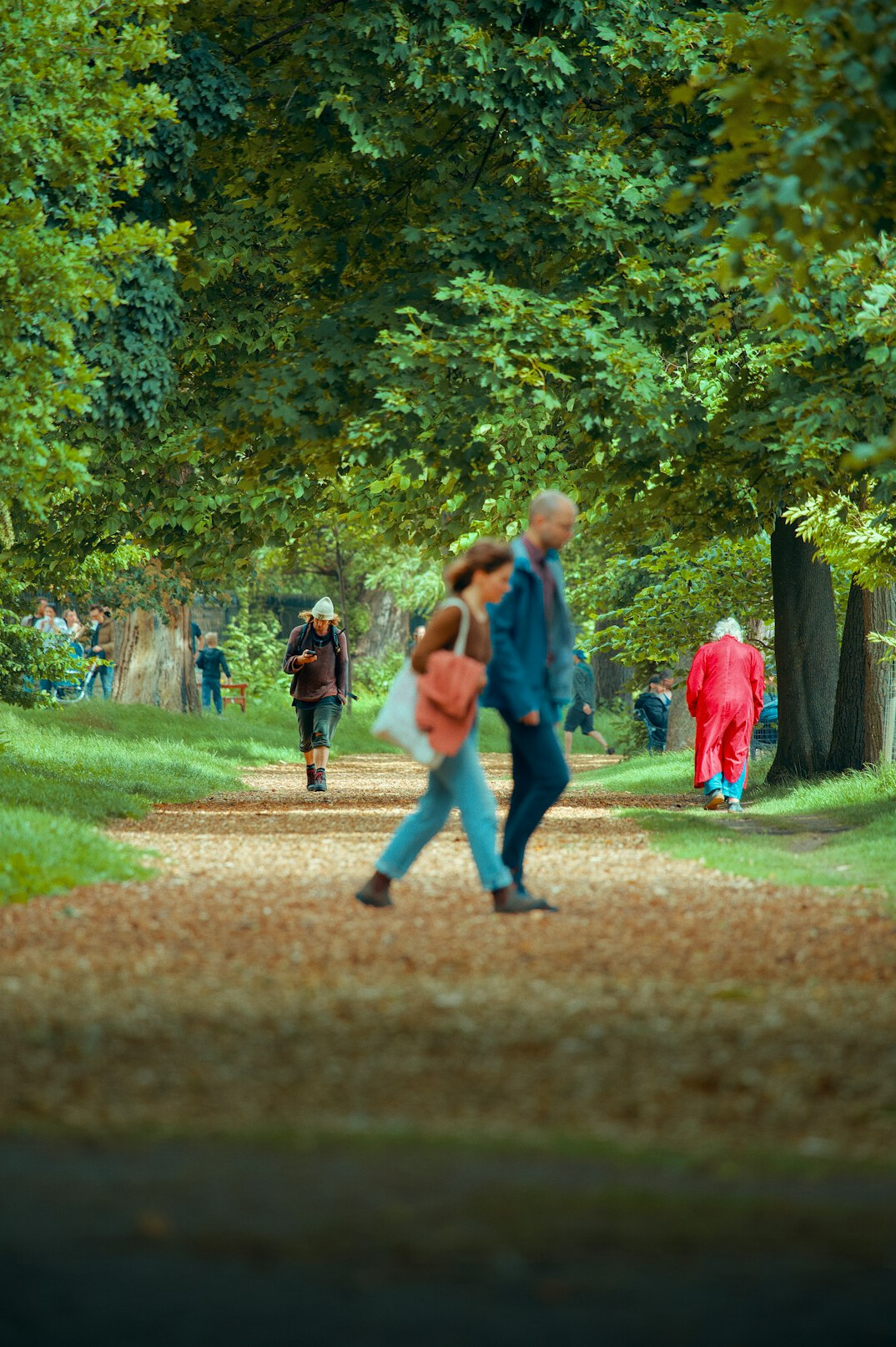 elderly group walking in park